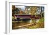 Burt Henry Covered Bridge, Vermont-George Oze-Framed Photographic Print