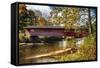 Burt Henry Covered Bridge, Vermont-George Oze-Framed Stretched Canvas