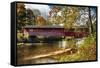 Burt Henry Covered Bridge, Vermont-George Oze-Framed Stretched Canvas