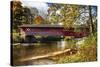 Burt Henry Covered Bridge, Vermont-George Oze-Stretched Canvas