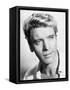 Burt Lancaster, The Crimson Pirate, 1952-null-Framed Stretched Canvas