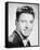 Burt Lancaster-null-Framed Stretched Canvas