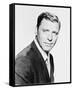 Burt Lancaster-null-Framed Stretched Canvas