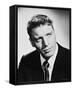 Burt Lancaster-null-Framed Stretched Canvas