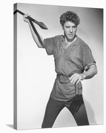 Burt Lancaster-null-Stretched Canvas