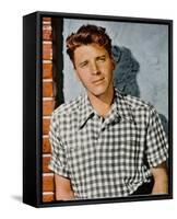 Burt Lancaster-null-Framed Stretched Canvas