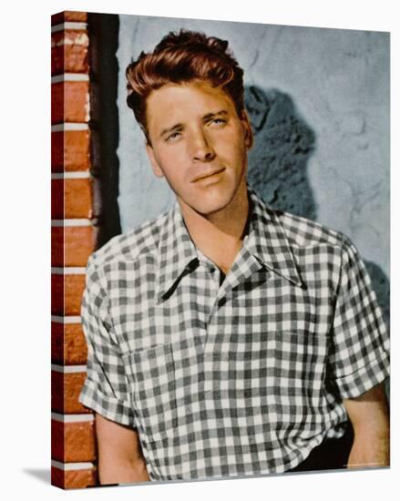 Burt Lancaster-null-Stretched Canvas