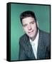 Burt Lancaster-null-Framed Stretched Canvas