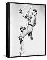 Burt Lancaster-null-Framed Stretched Canvas