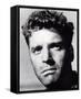 Burt Lancaster-null-Framed Stretched Canvas