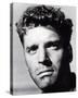 Burt Lancaster-null-Stretched Canvas