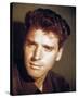 Burt Lancaster-null-Stretched Canvas