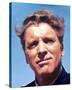 Burt Lancaster-null-Stretched Canvas