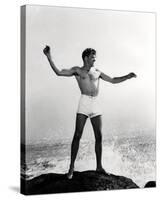 Burt Lancaster-null-Stretched Canvas