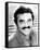 Burt Reynolds - All-Star Party for Burt Reynolds-null-Framed Stretched Canvas