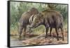 Buru Babirusa or Golden Babirusa (Babyrousa Babyrussa), Suidae-null-Framed Stretched Canvas