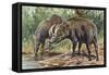 Buru Babirusa or Golden Babirusa (Babyrousa Babyrussa), Suidae-null-Framed Stretched Canvas