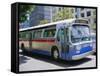 Bus, Downtown San Diego, California, USA-Fraser Hall-Framed Stretched Canvas