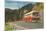 Bus in Great Smoky Mountains-null-Mounted Art Print