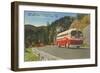 Bus in Great Smoky Mountains-null-Framed Art Print