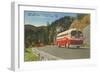 Bus in Great Smoky Mountains-null-Framed Art Print