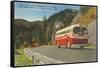 Bus in Great Smoky Mountains-null-Framed Stretched Canvas