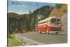 Bus in Great Smoky Mountains-null-Stretched Canvas