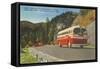 Bus in Great Smoky Mountains-null-Framed Stretched Canvas