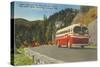 Bus in Great Smoky Mountains-null-Stretched Canvas