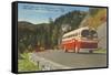 Bus in Great Smoky Mountains-null-Framed Stretched Canvas