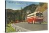 Bus in Great Smoky Mountains-null-Stretched Canvas