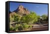 Bus Stop, the Watchman, Zion National Park, Utah, Usa-Rainer Mirau-Framed Stretched Canvas