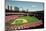 Busch Stadium, St Louis-Ira Rosen-Mounted Art Print