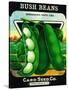 Bush Beans Seed Packet-Lantern Press-Stretched Canvas