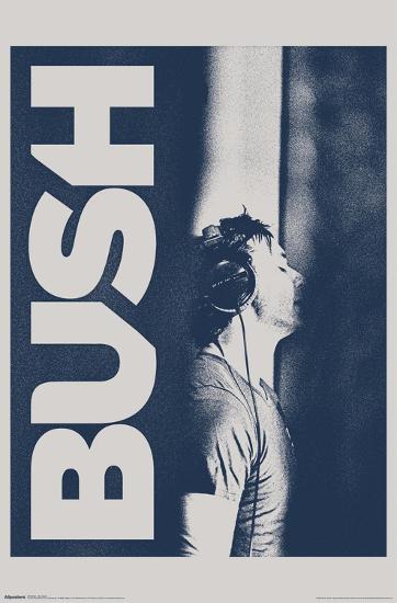 Poster, , large