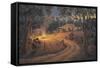 Bush Bonfire-John Bradley-Framed Stretched Canvas