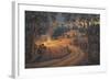 Bush Bonfire-John Bradley-Framed Giclee Print