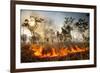 Bush fire triggered by lightning storm, Western Australia-Paul Williams-Framed Photographic Print