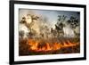 Bush fire triggered by lightning storm, Western Australia-Paul Williams-Framed Photographic Print