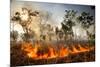 Bush fire triggered by lightning storm, Western Australia-Paul Williams-Mounted Photographic Print