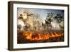 Bush fire triggered by lightning storm, Western Australia-Paul Williams-Framed Photographic Print