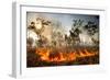 Bush fire triggered by lightning storm, Western Australia-Paul Williams-Framed Photographic Print