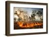 Bush fire triggered by lightning storm, Western Australia-Paul Williams-Framed Photographic Print