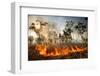 Bush fire triggered by lightning storm, Western Australia-Paul Williams-Framed Photographic Print