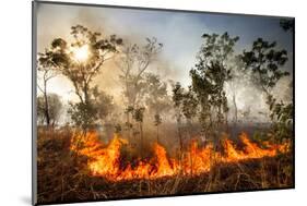 Bush fire triggered by lightning storm, Western Australia-Paul Williams-Mounted Photographic Print