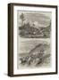 Bush Life in Queensland-Harrison William Weir-Framed Giclee Print