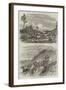 Bush Life in Queensland-Harrison William Weir-Framed Giclee Print