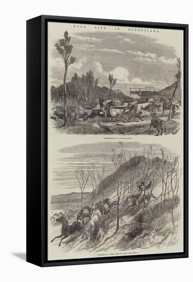 Bush Life in Queensland-Harrison William Weir-Framed Stretched Canvas