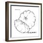 Bush Pumpkin-Olga And Alexey Drozdov-Framed Giclee Print