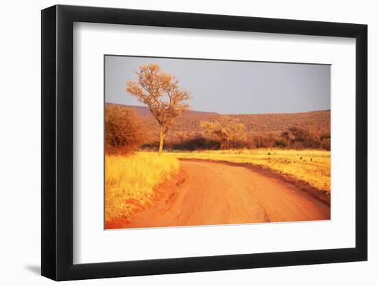 Bush-Andrushko Galyna-Framed Photographic Print